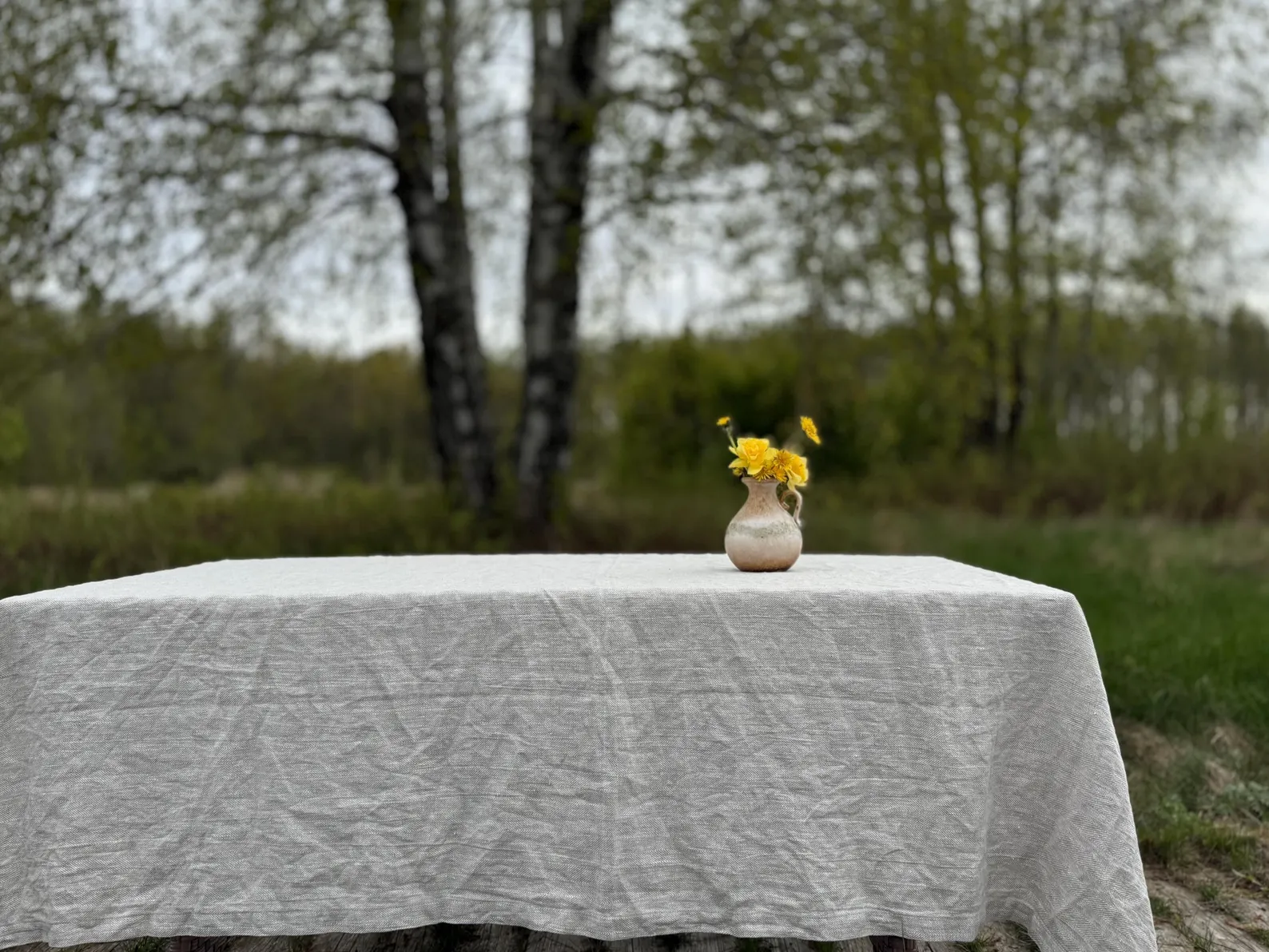 rustic table cover decor