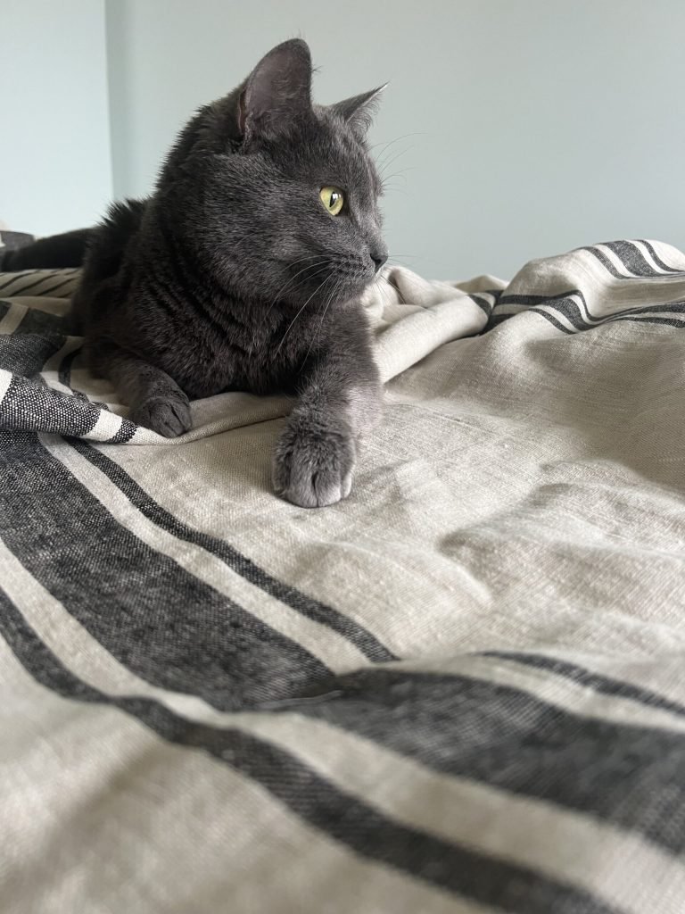 black-stripe-linen